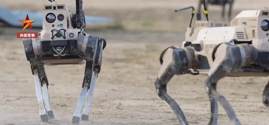 Robot Wolf Chinese UGV (C)